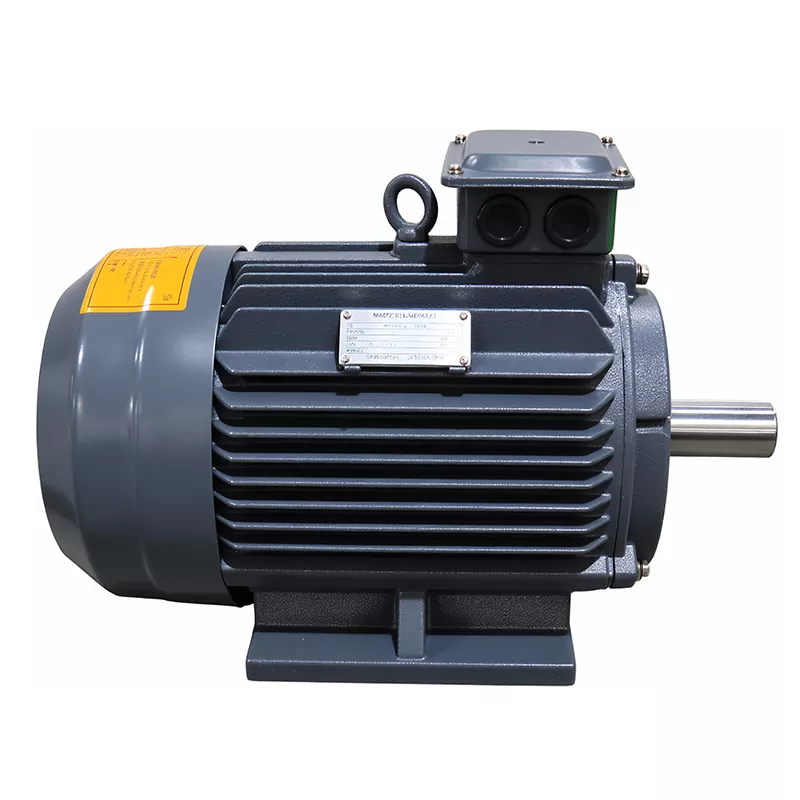 موتور سنکرون غیر مغناطیسی IE5 1500 RPM