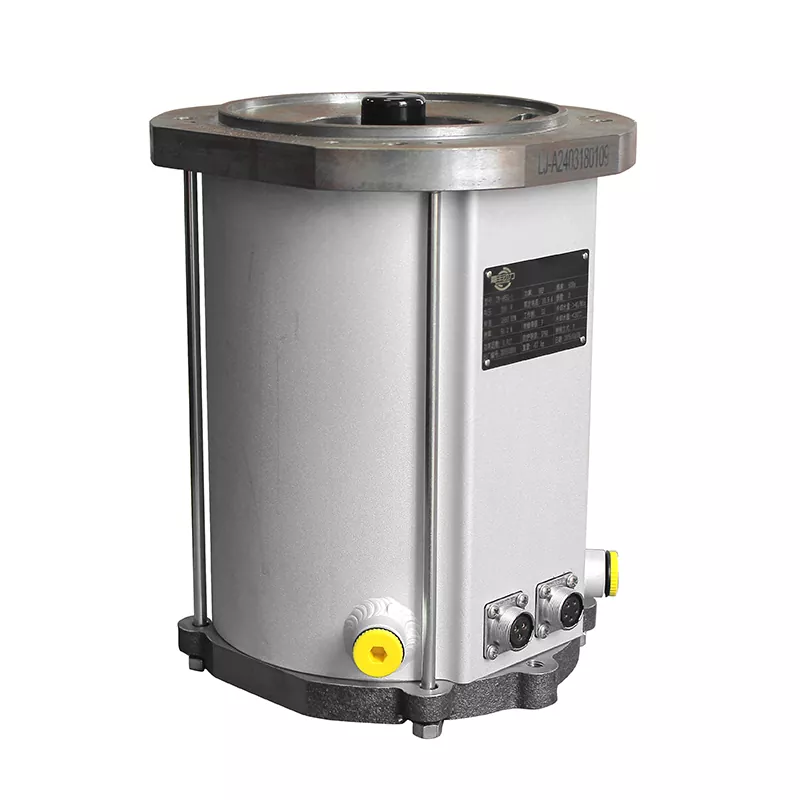 Roots Vacuum Pump Motor